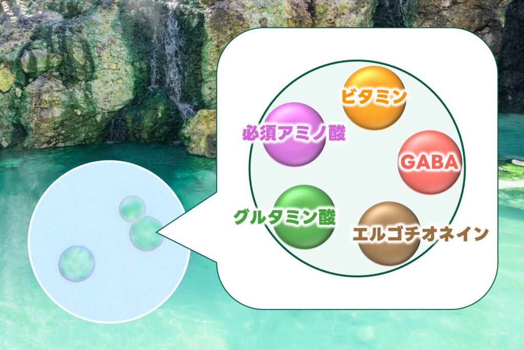 イデユコゴメの栄養素