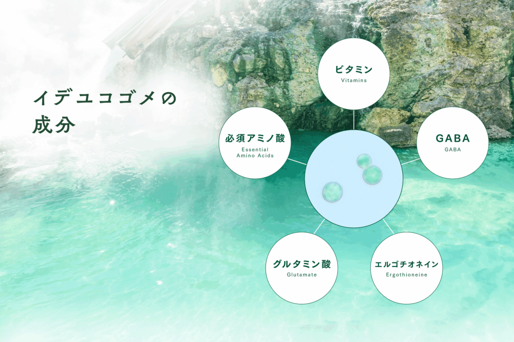 いでゆこごめの成分